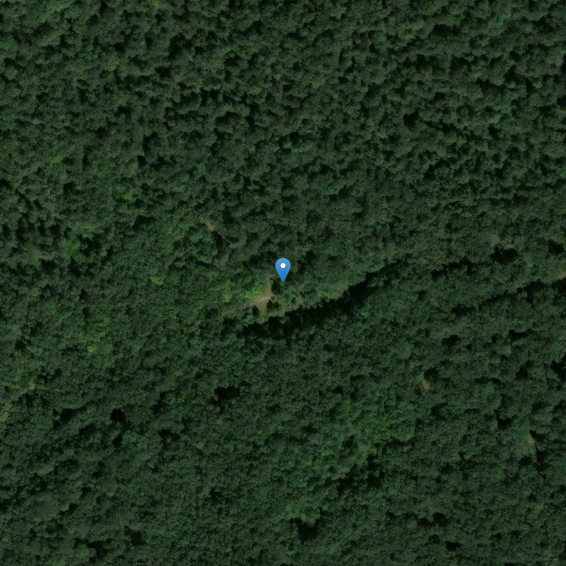 Photo de Dolmen dice La Table ou La Pierre de la Roche