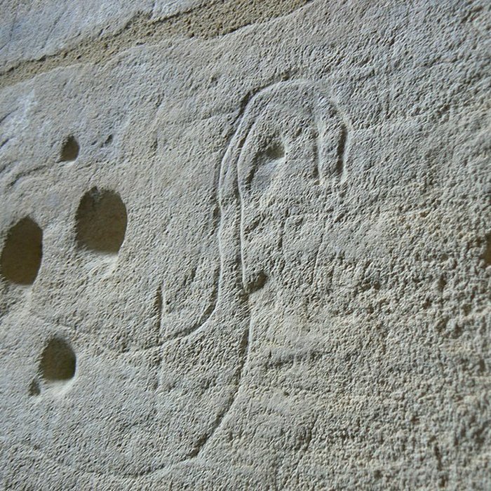 Photo de Domaine de la Baronnie à Douvres-la-Délivrande