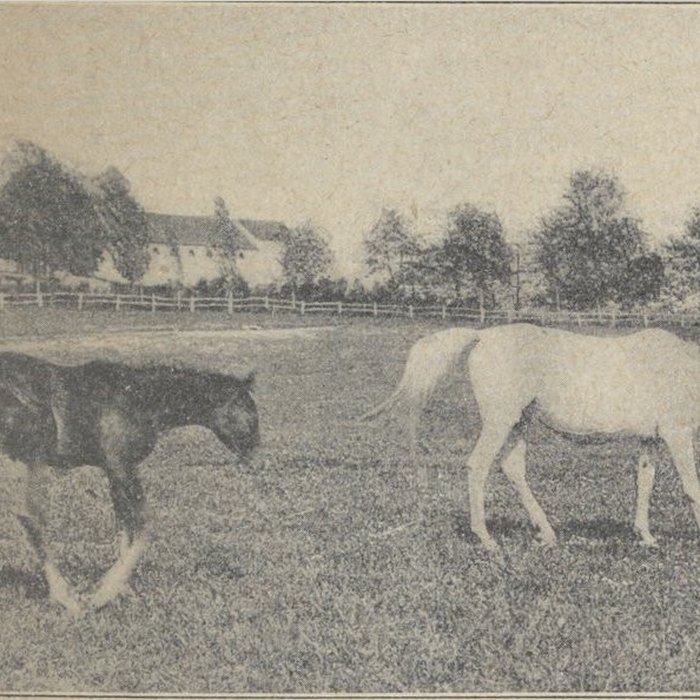 Photo de Haras national de Pompadour