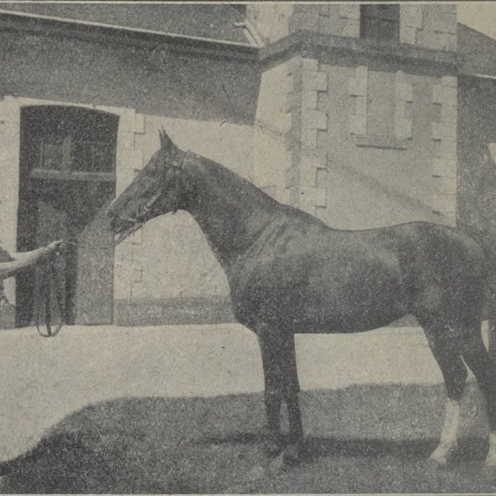 Photo de Haras national de Pompadour