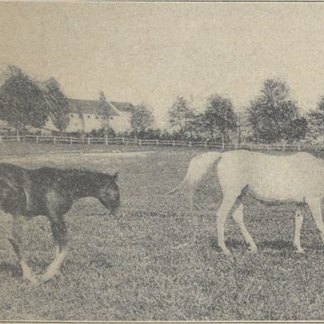 Haras national de Pompadour