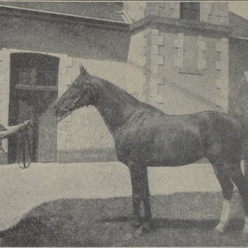 Haras national de Pompadour