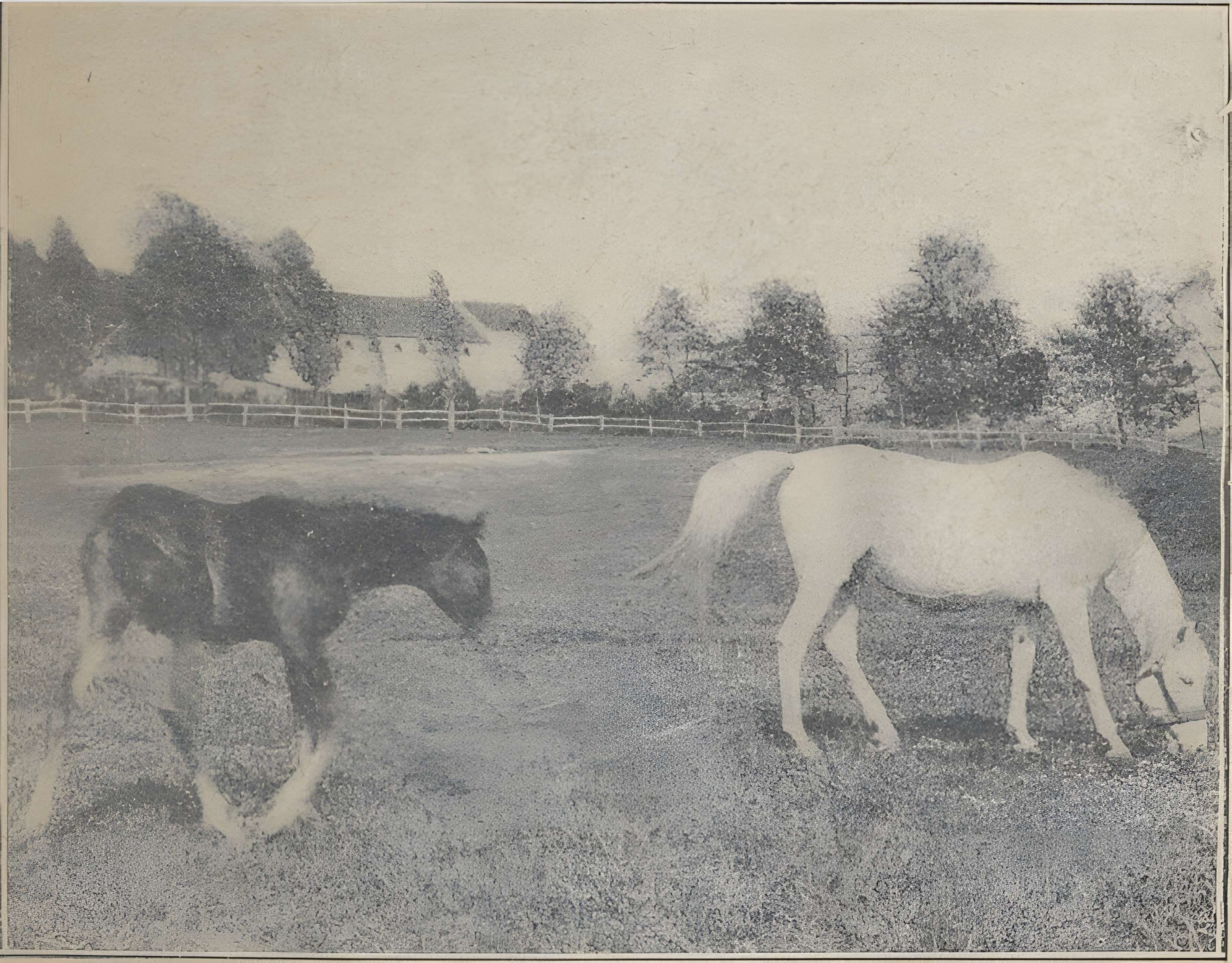 Haras national de Pompadour