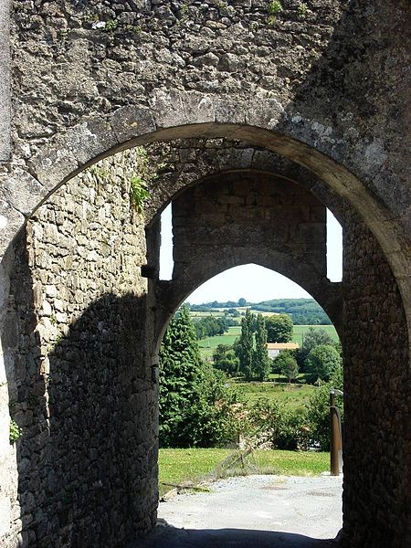Photo de Donjon de Châteaumur