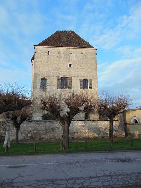 Photo de Donjon de Cravant