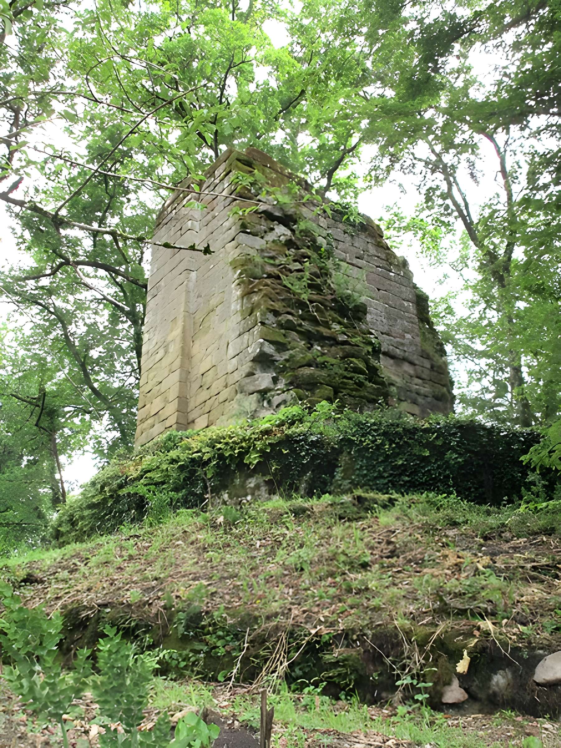 Ancien castrum de Malemort dit  domaine de Montemart