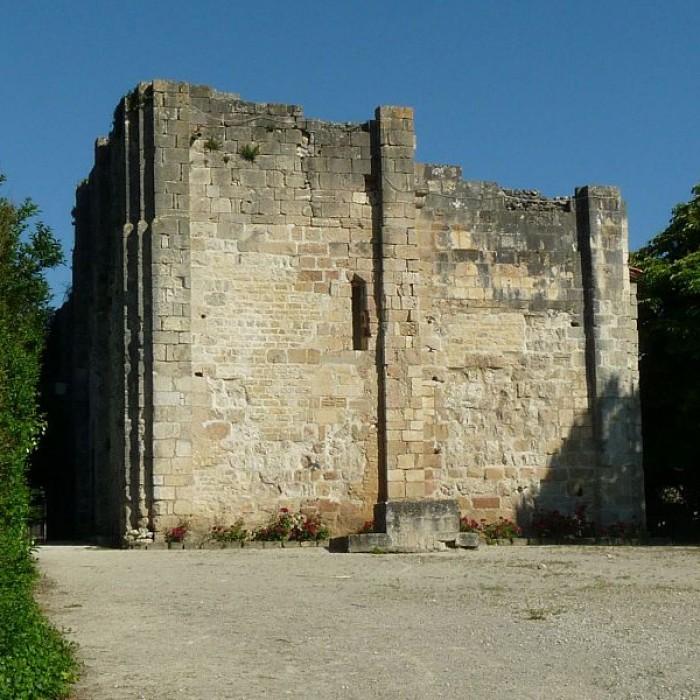 Photo de Donjon de Montignac-Charente