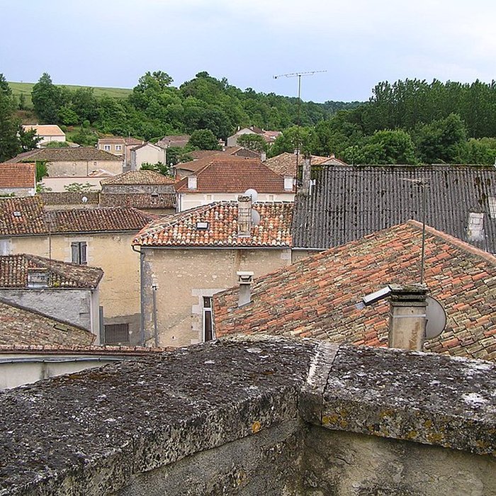 Photo de Donjon de Montignac-Charente