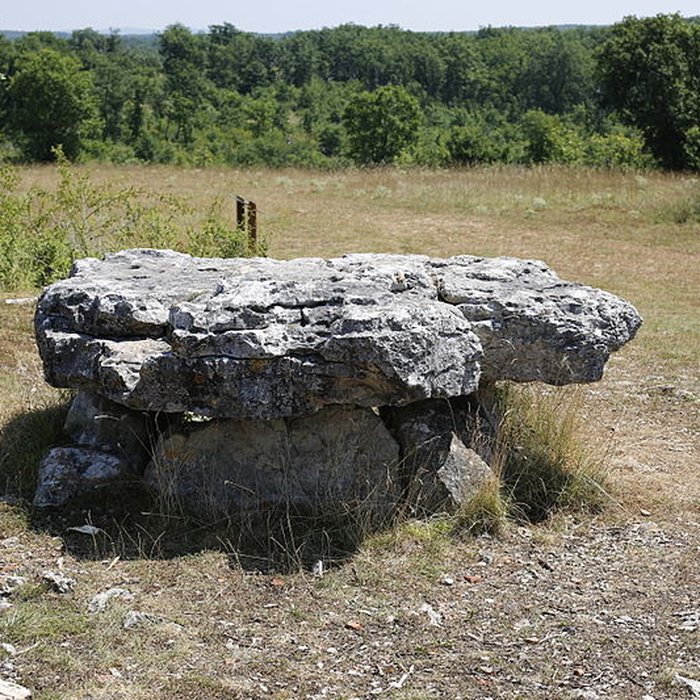 Photo de Menhir de Lapalain