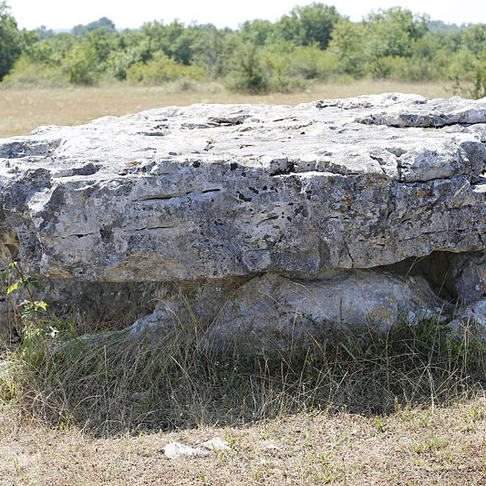 Photo de Menhir de Lapalain