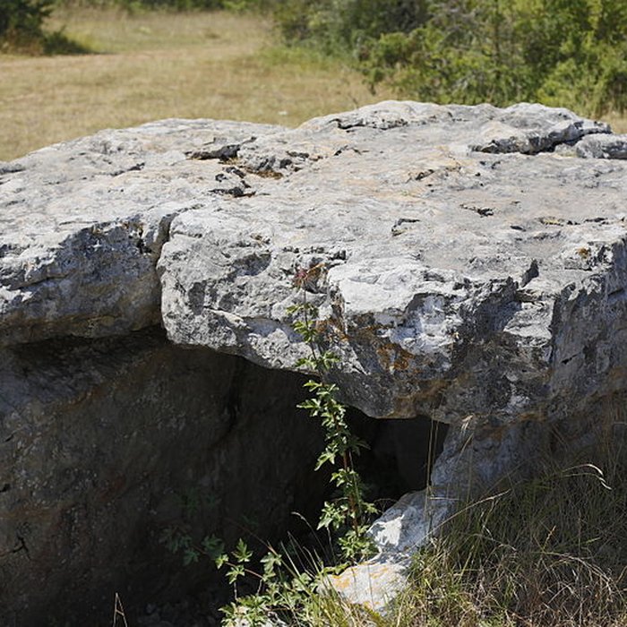 Photo de Menhir de Lapalain
