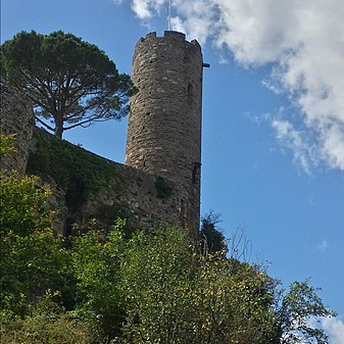 Photo de Vestiges du château
