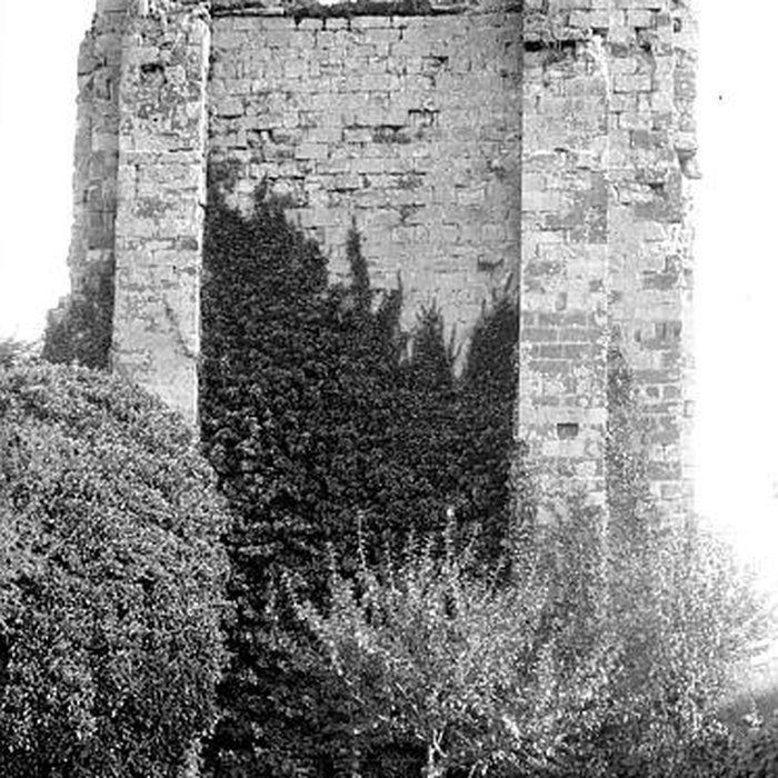 Photo de Vestiges du château