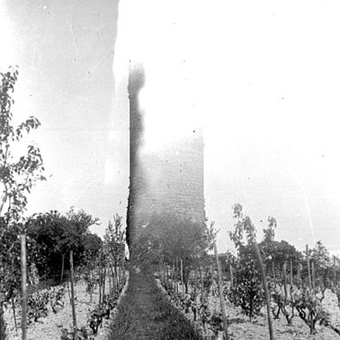 Photo de Vestiges du château