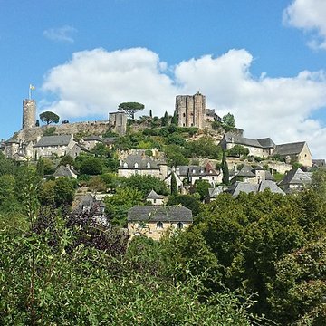 Vestiges du château