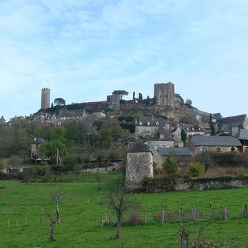 Vestiges du château