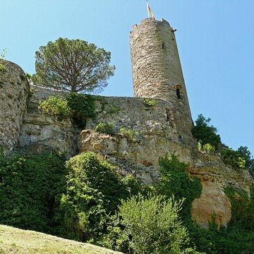 Vestiges du château