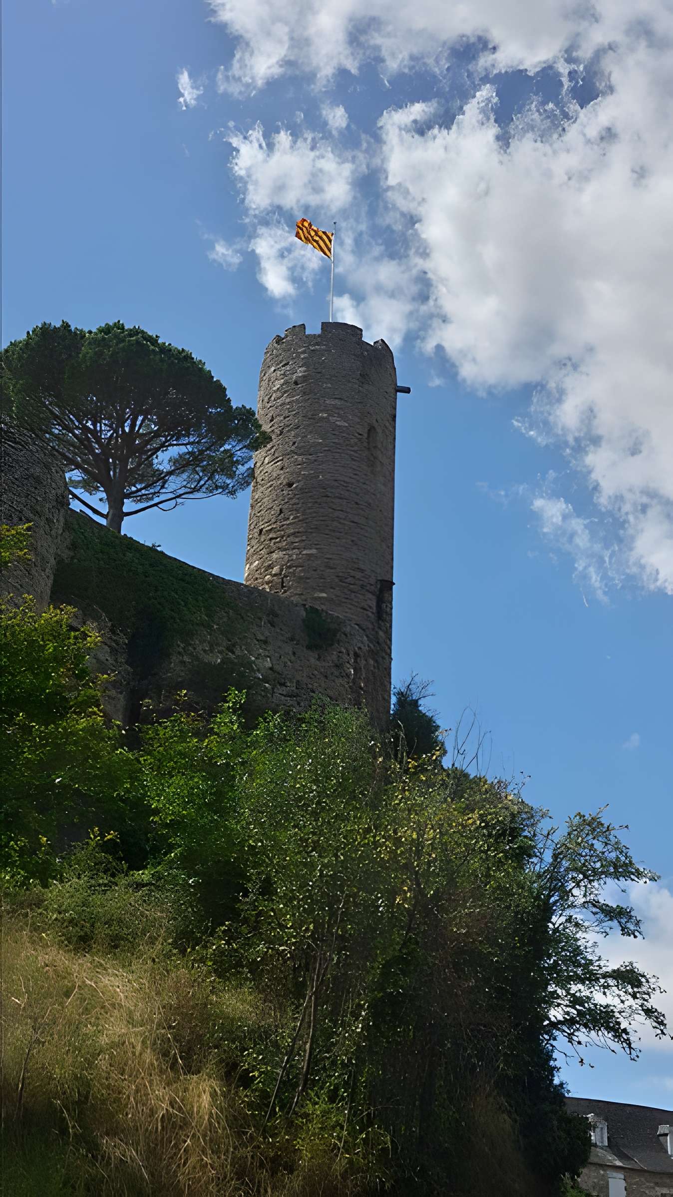 Vestiges du château