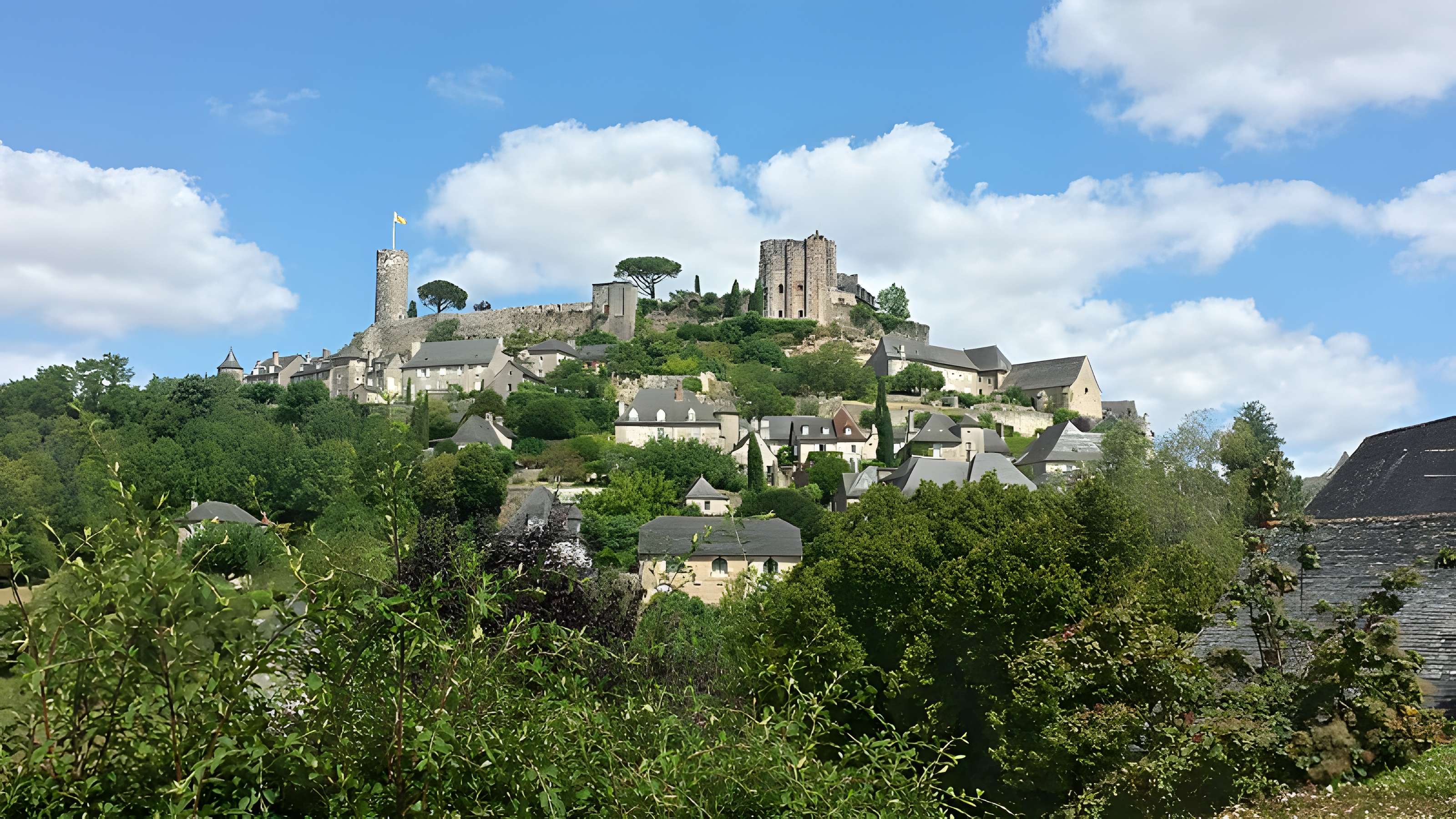 Vestiges du château