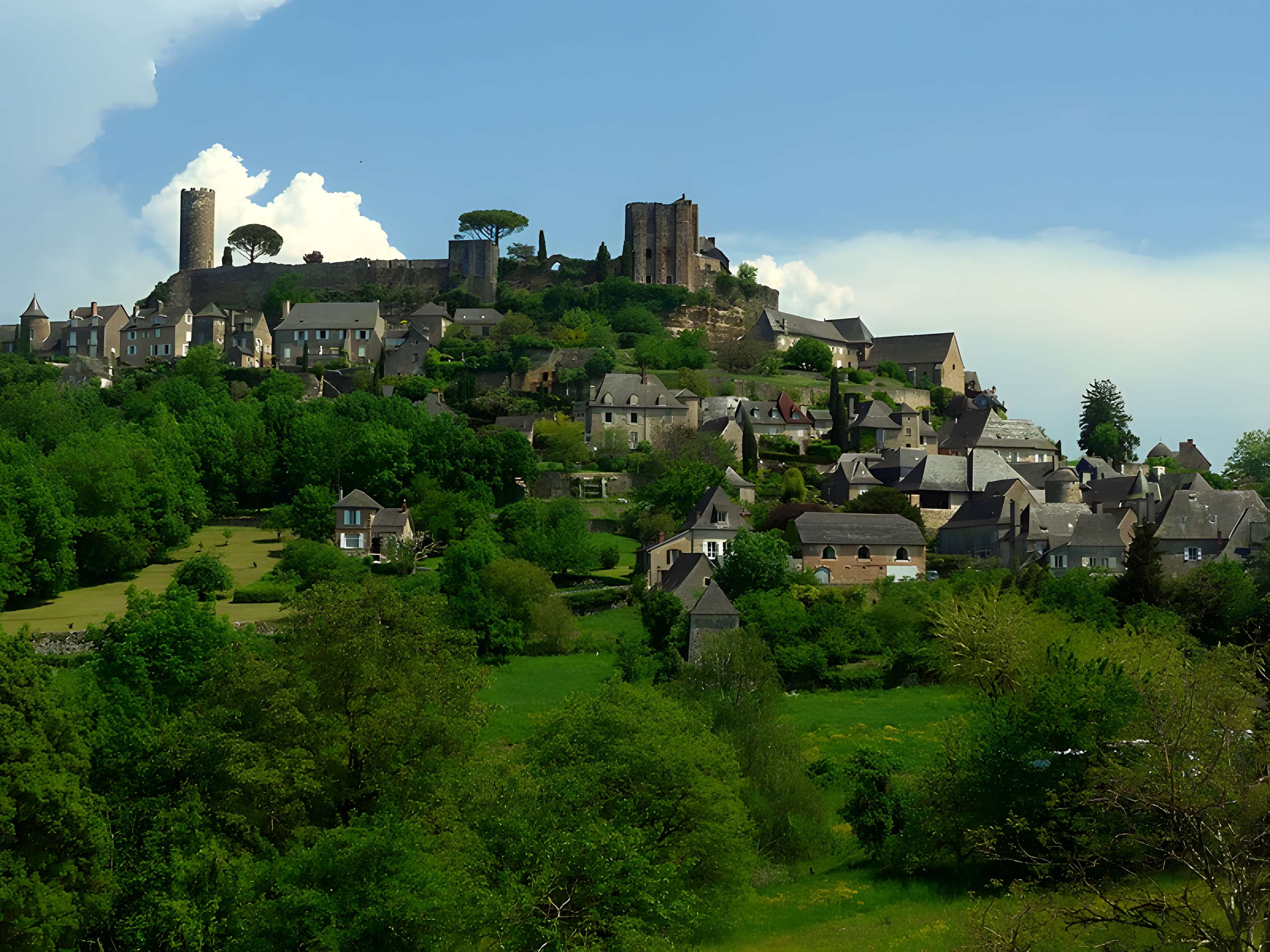 Vestiges du château