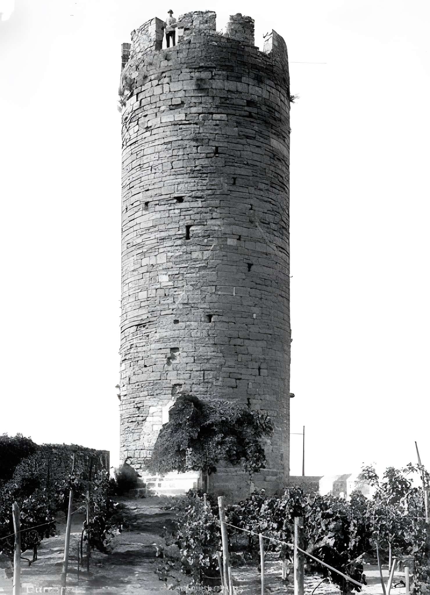 Vestiges du château