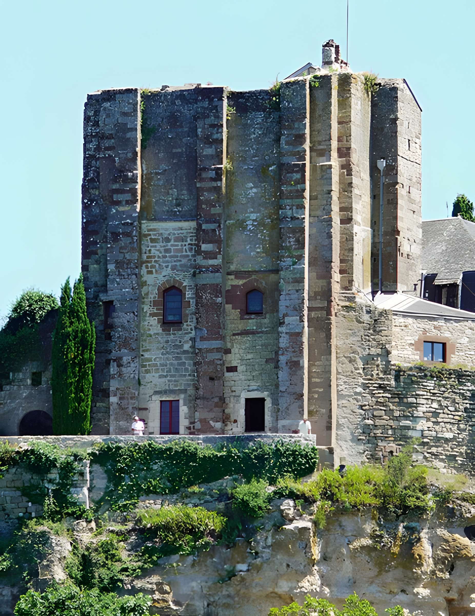 Vestiges du château