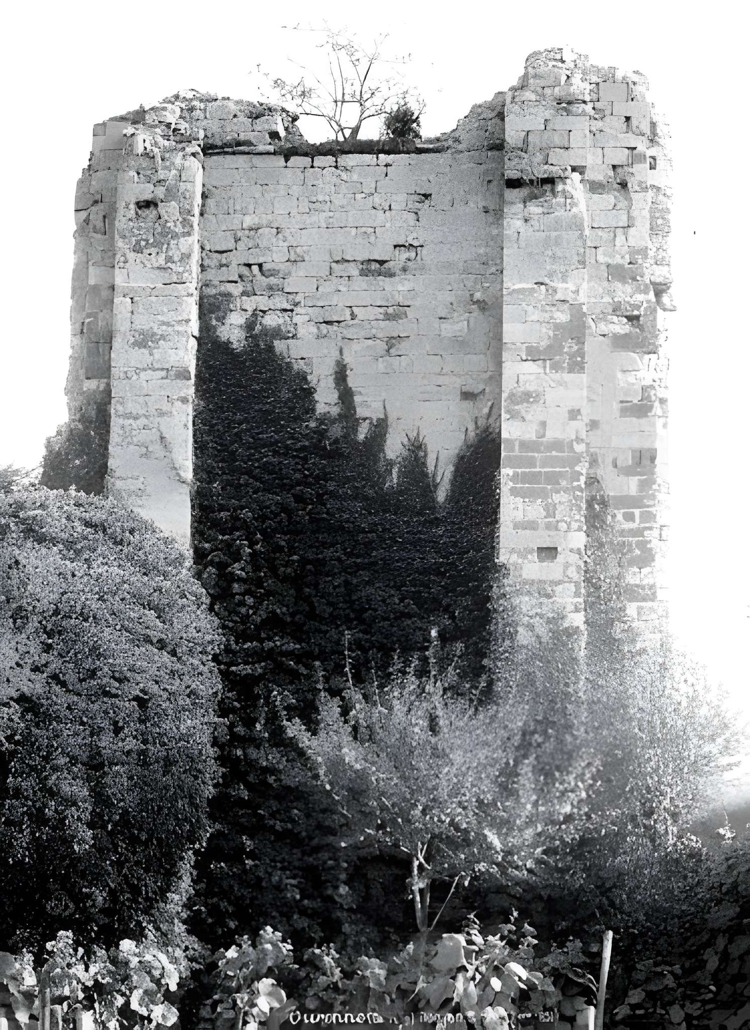 Vestiges du château