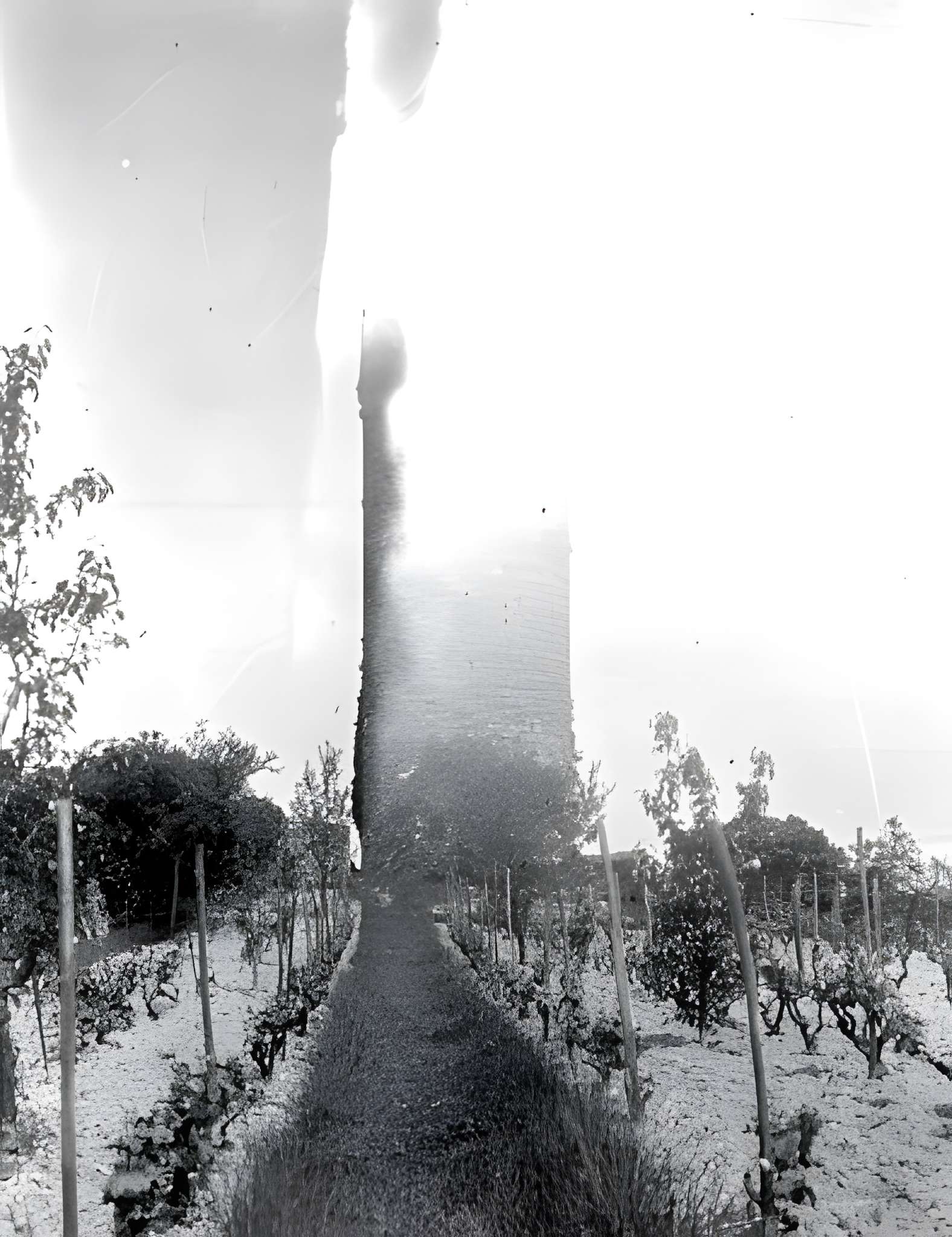 Vestiges du château