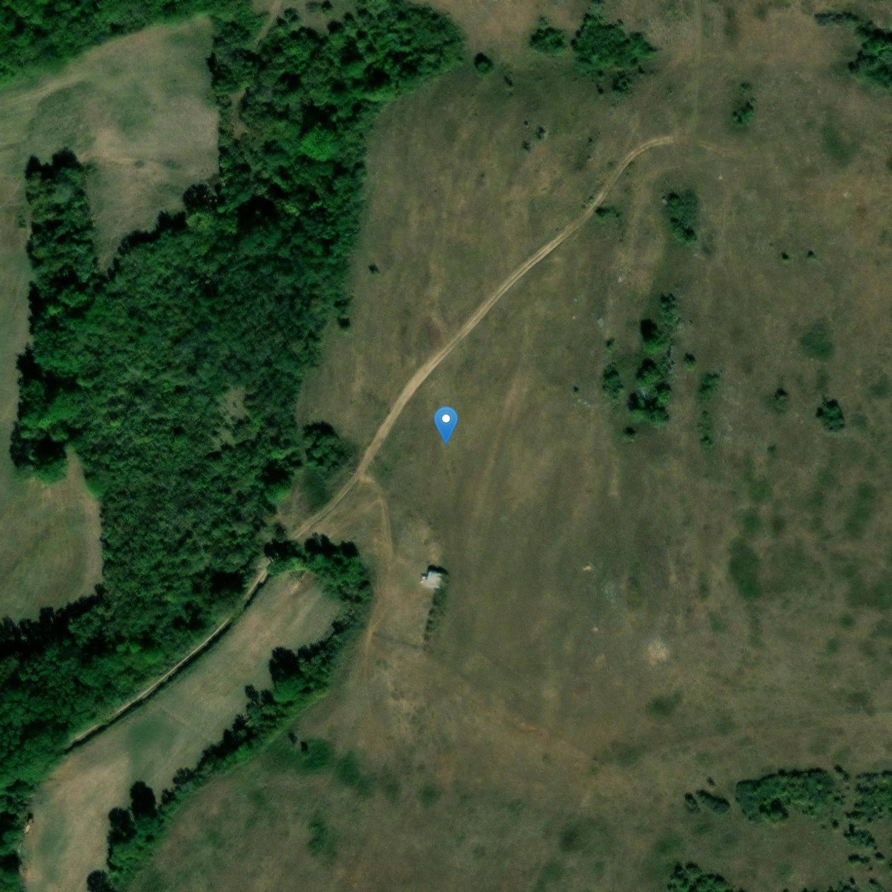 Photo de Crépey Forest Bornes