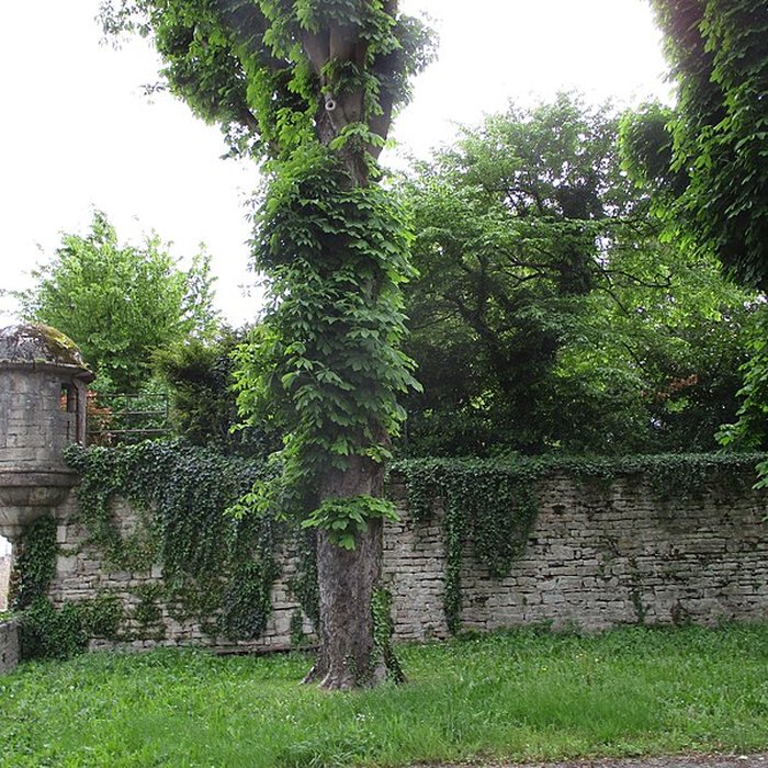 Photo de Fortifications