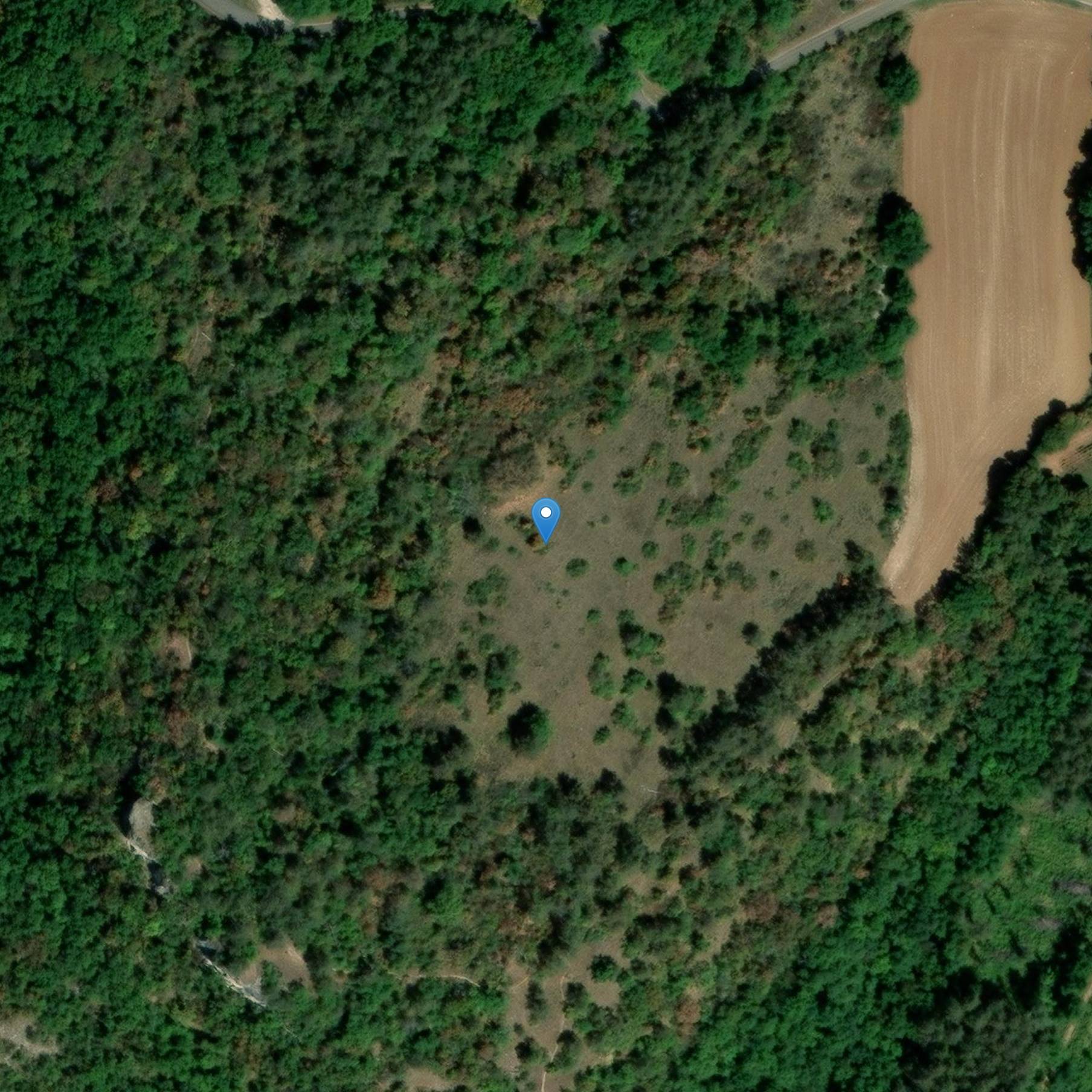 Photo de Campo preistorico della Châtelet