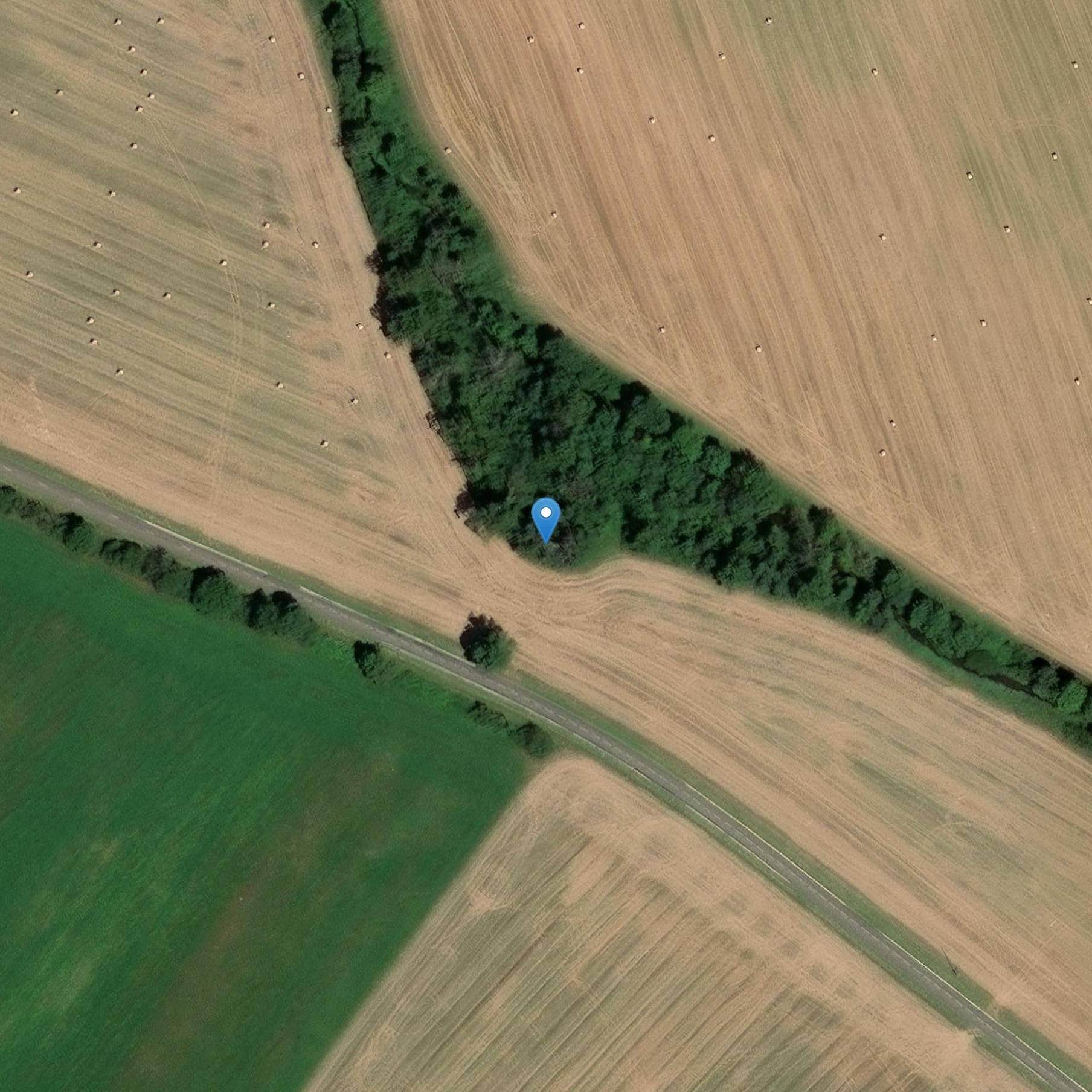 Photo de Mulino ad olio