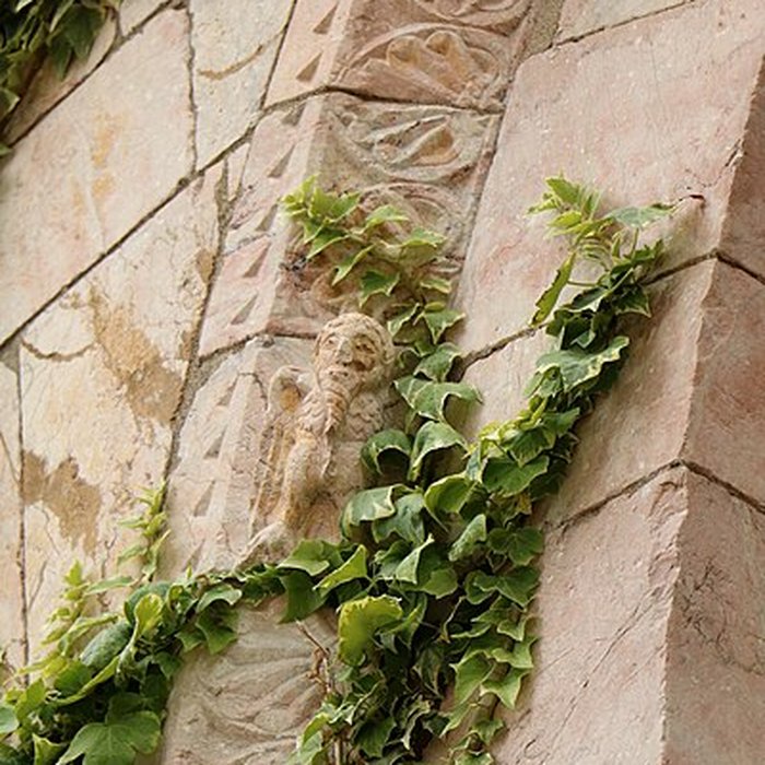 Photo de Église de lAssomption de la Vierge de Toulouges