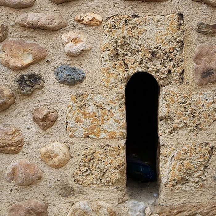 Photo de Église de lAssomption de la Vierge de Toulouges