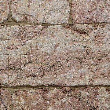 Église de lAssomption de la Vierge de Toulouges