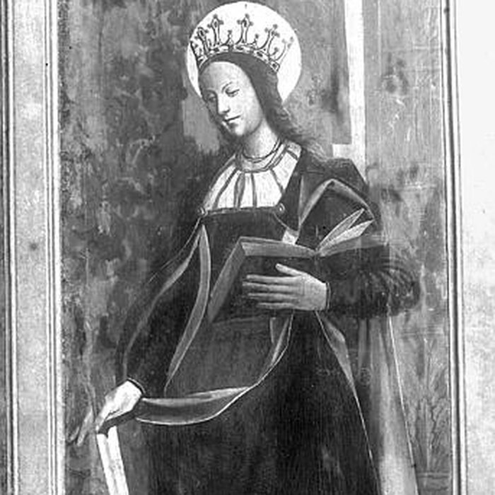 Photo de Cathédrale Saint-Siffrein de Carpentras