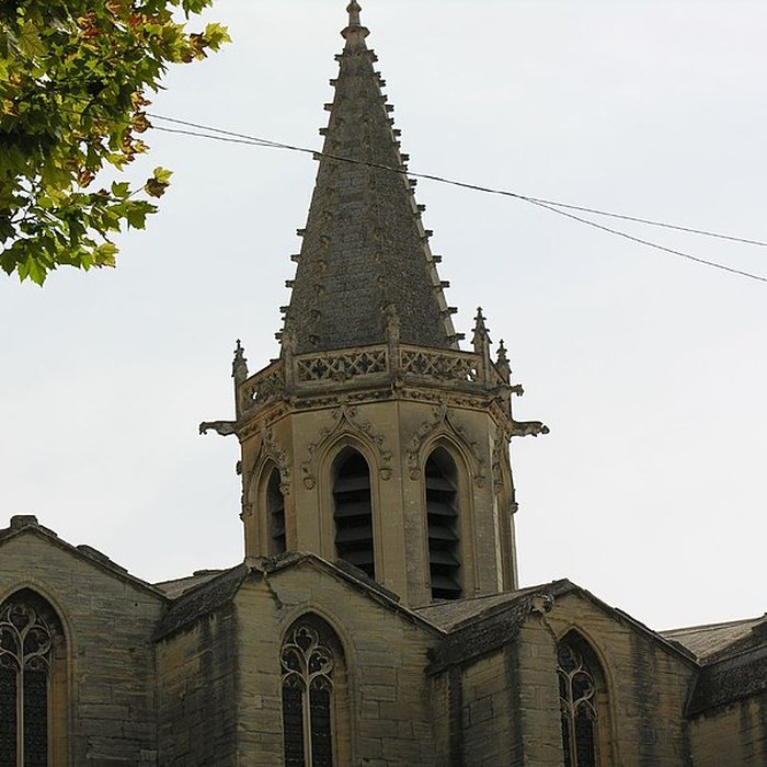 Photo de Cathédrale Saint-Siffrein de Carpentras