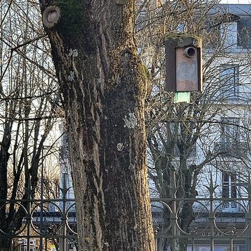 Réservoir Darcy et jardin Darcy, y compris ses clôtures et la fontaine de la Jeunesse