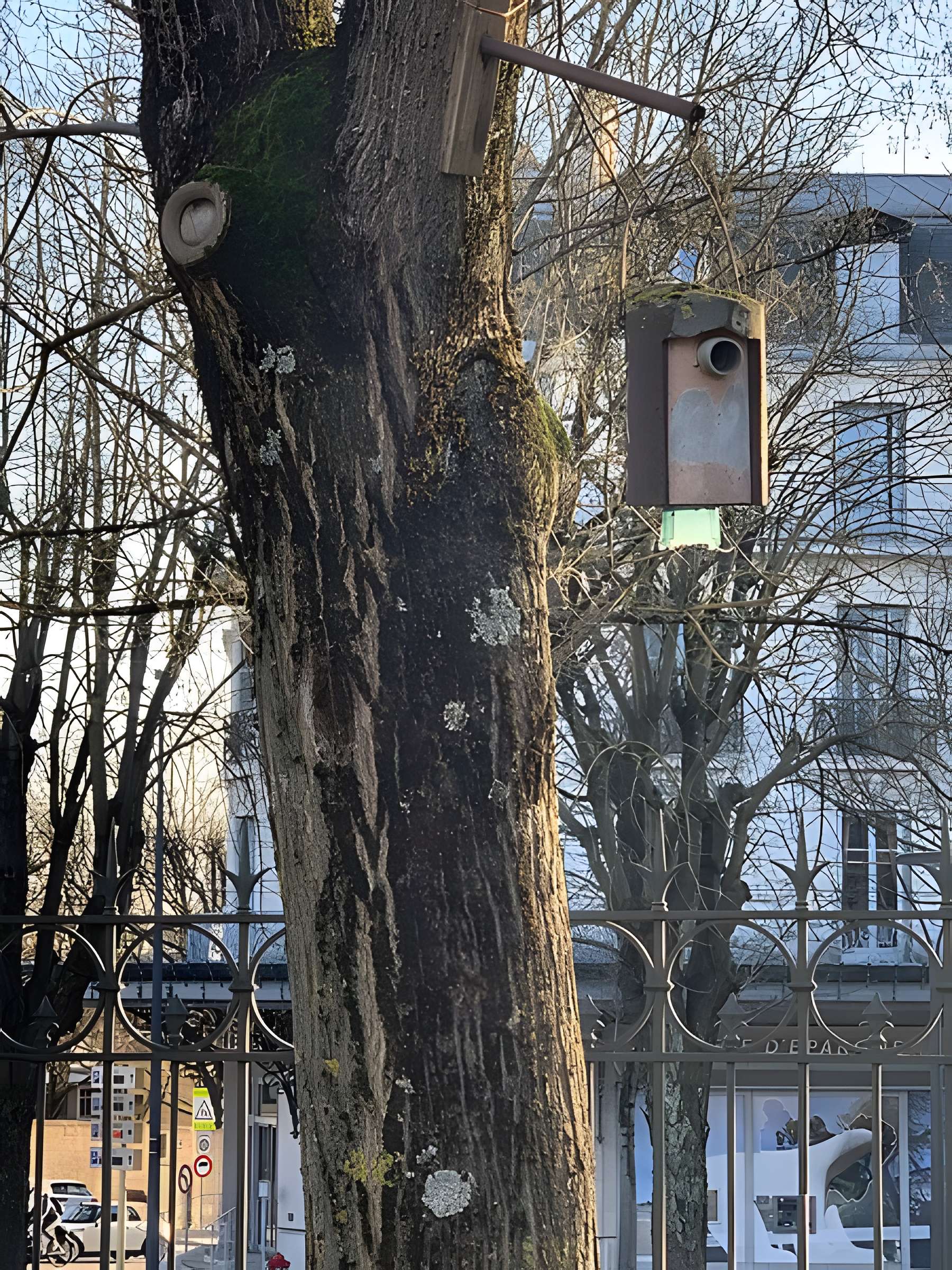 Réservoir Darcy et jardin Darcy, y compris ses clôtures et la fontaine de la Jeunesse