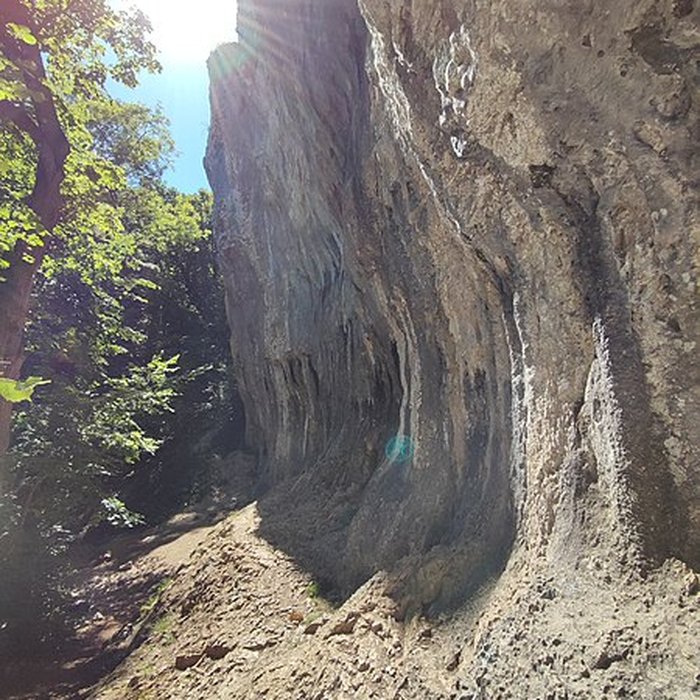 Photo de Parc Noisot