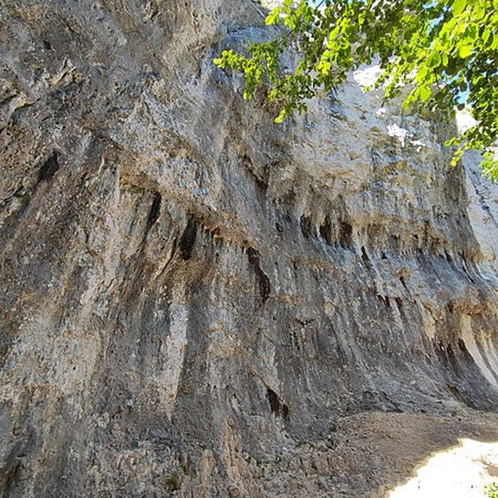 Photo de Parc Noisot