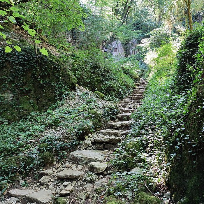 Photo de Parc Noisot