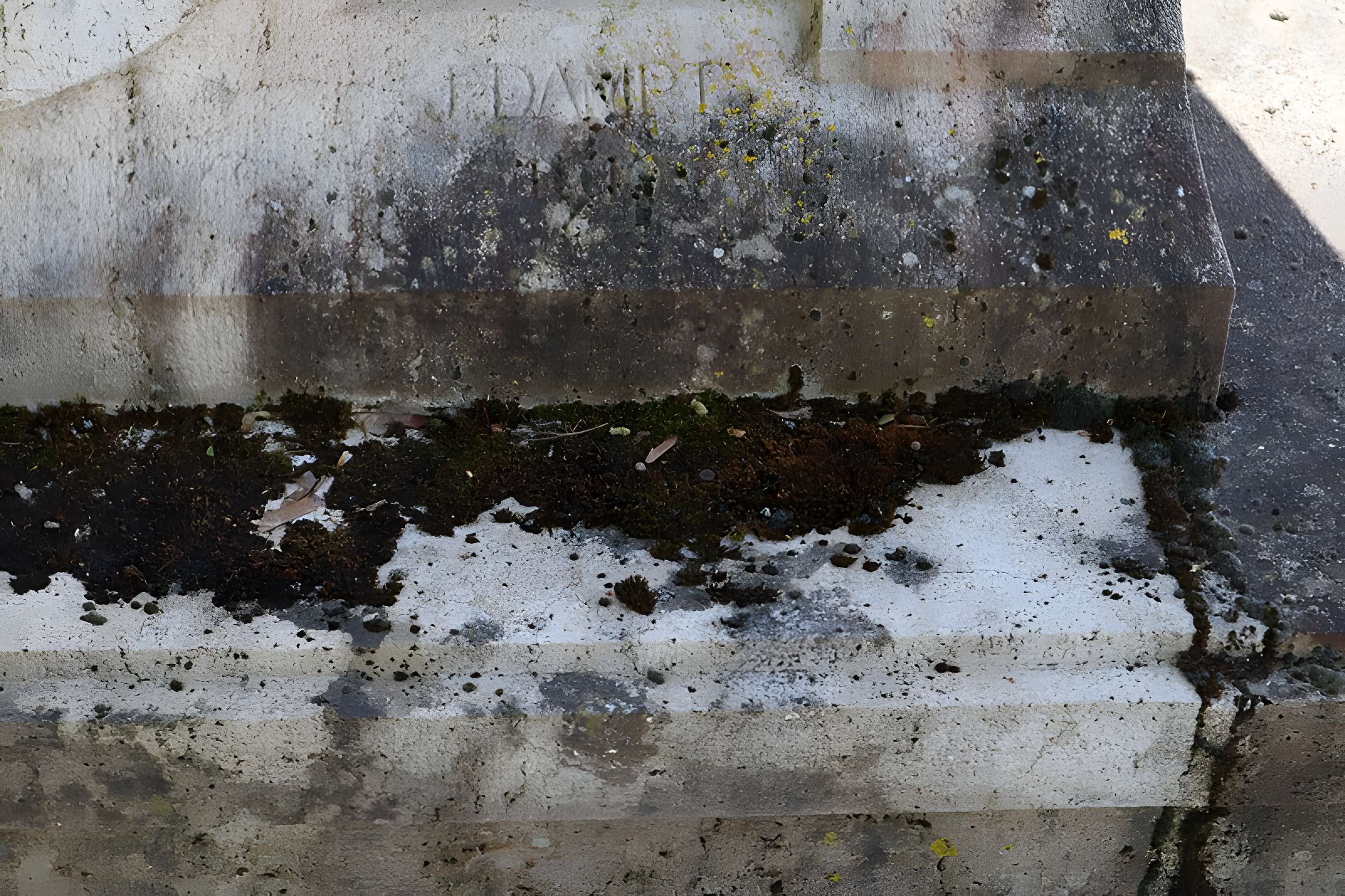 Monument aux morts de la commune