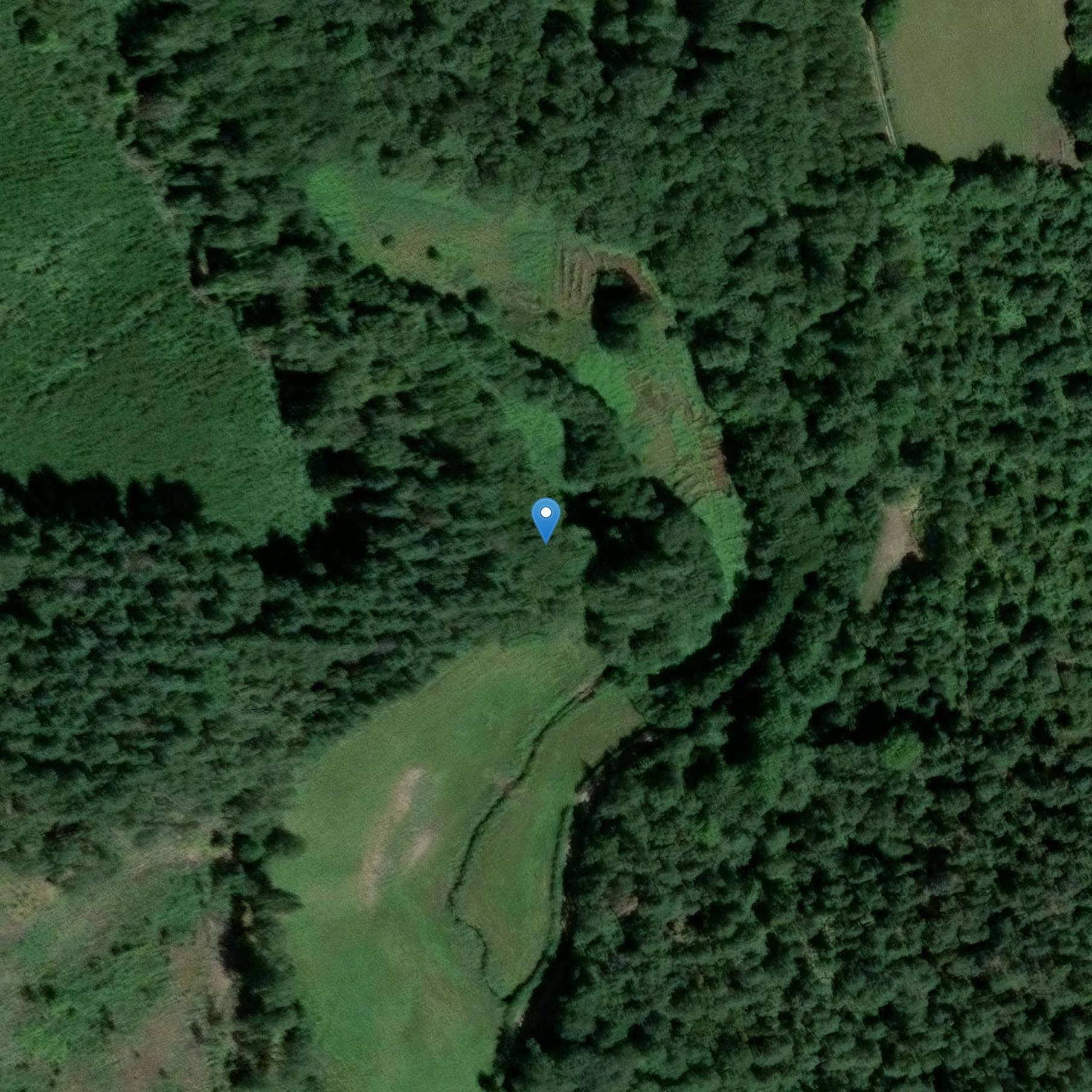 Photo de Two menhirs