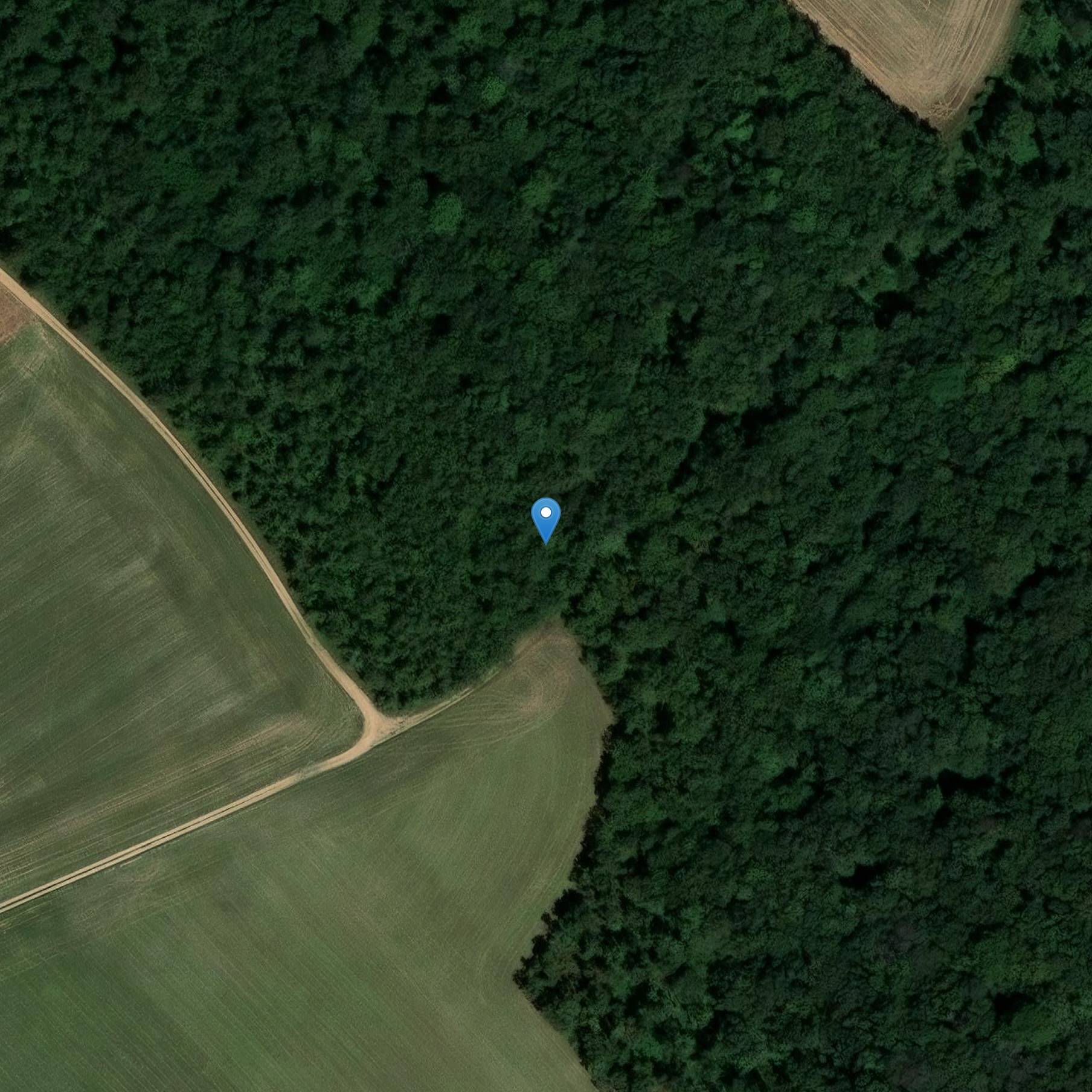 Photo de Tumulus du Bois-Vert