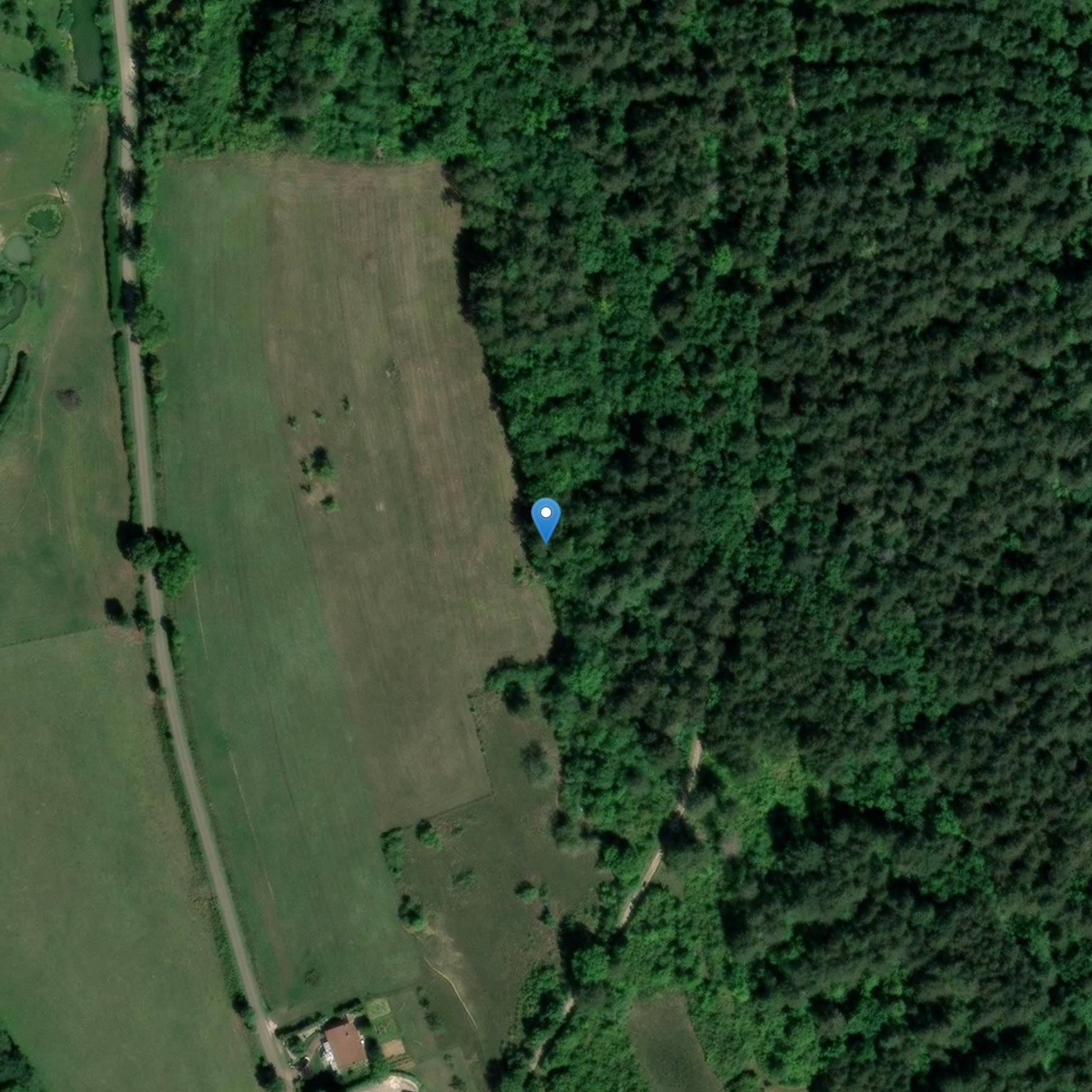 Photo de Armored Borne