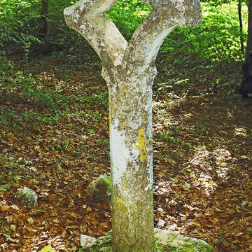 Table de pierre et socle de croix