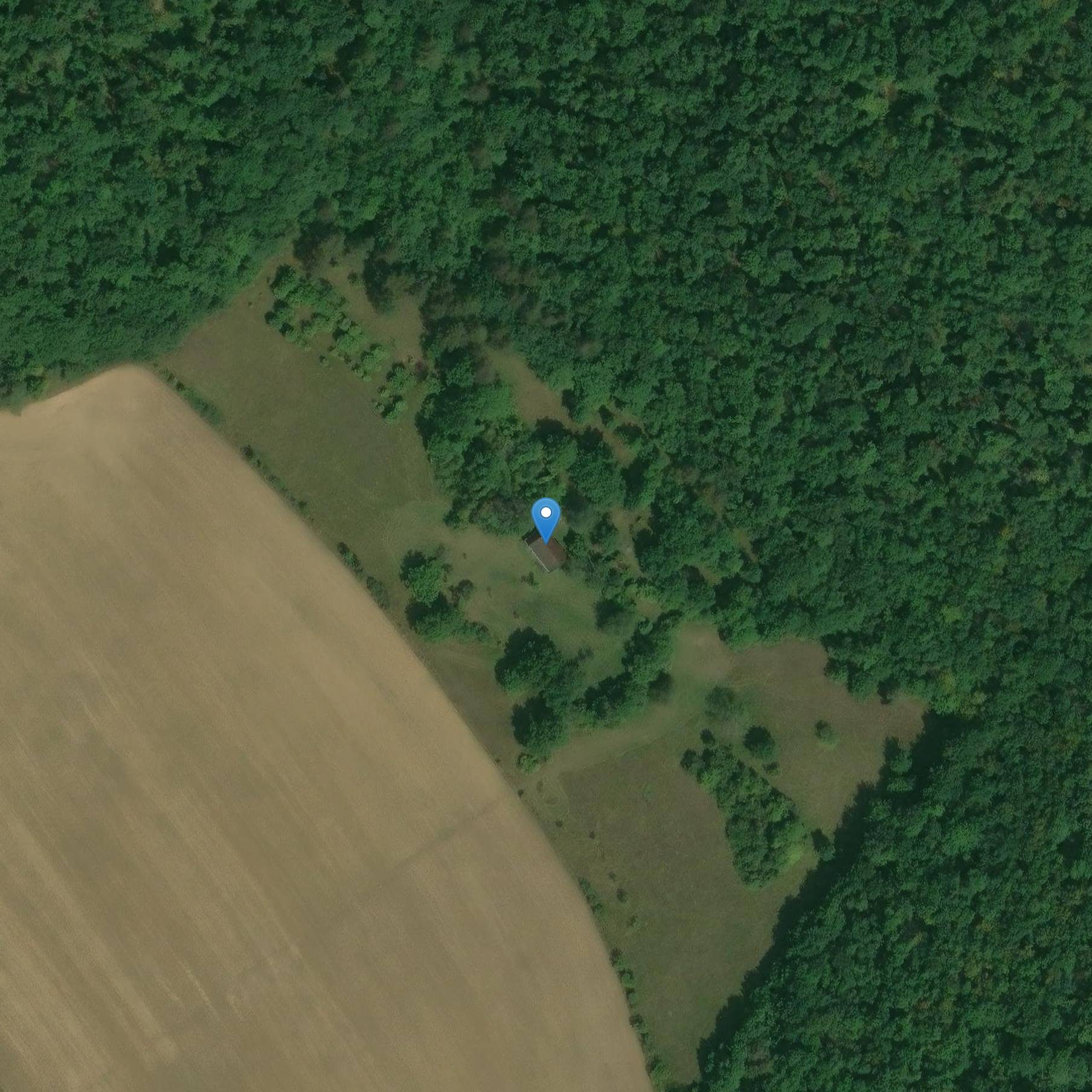 Photo de 哈姆雷特称