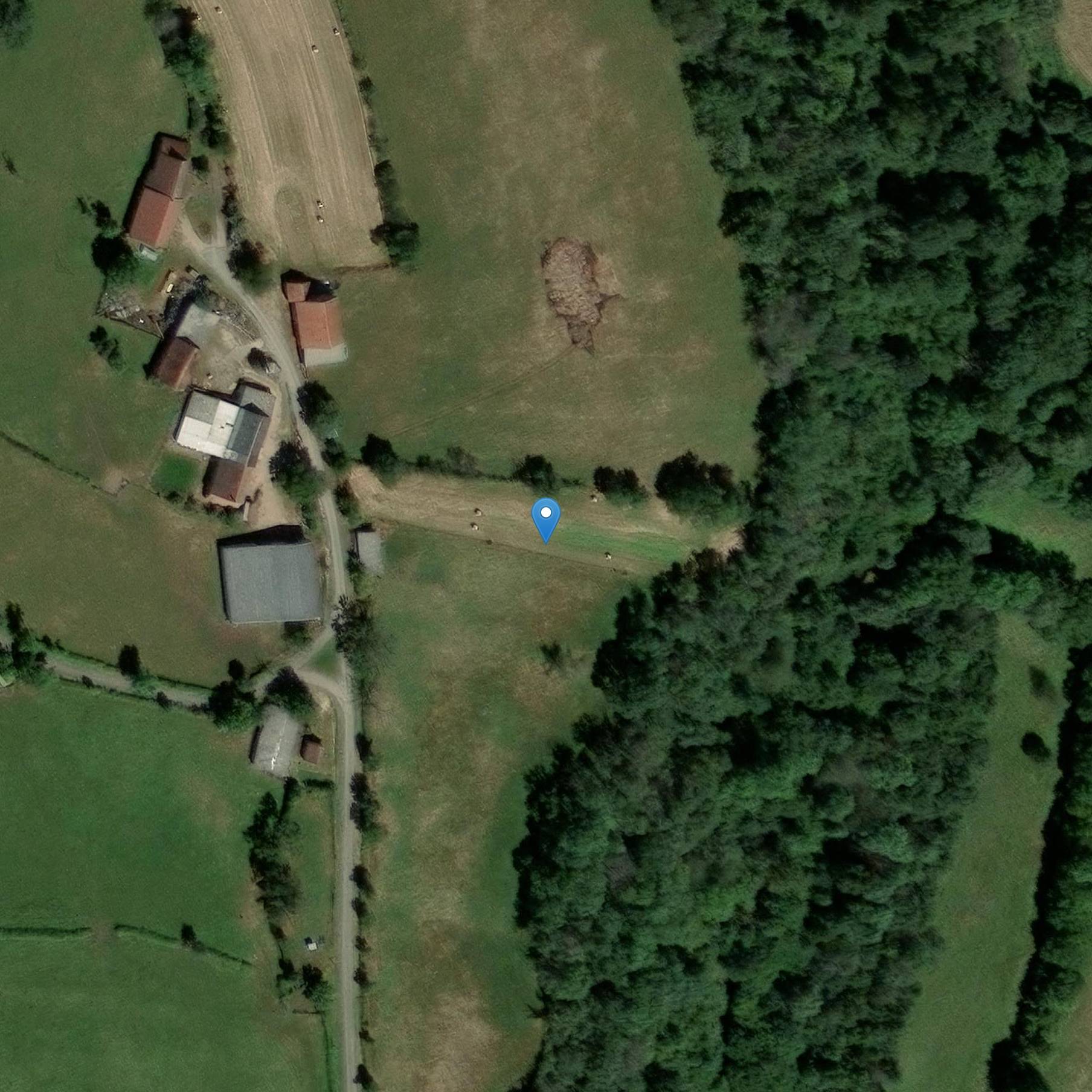 Photo de Menhir de la Pierre-Pointe