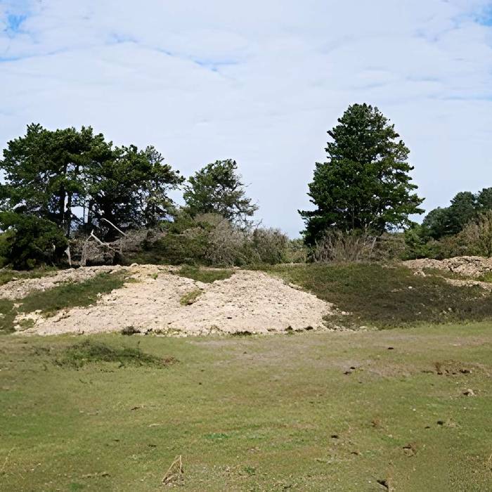 Photo de Camp Myard o Miard